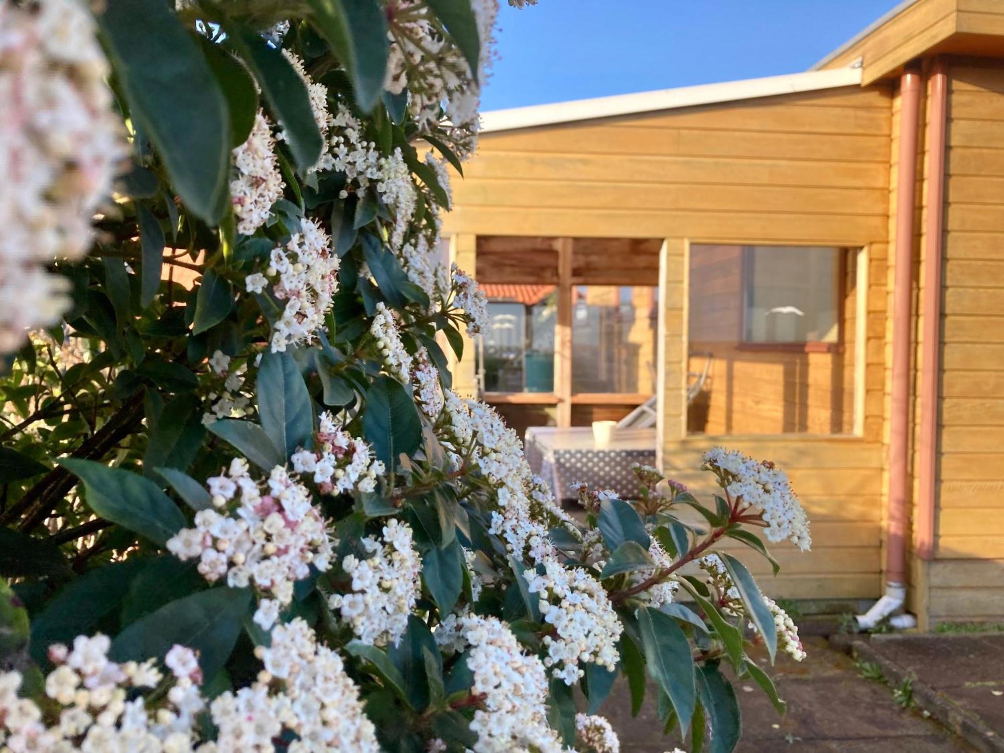 3 Pers. Holiday Home Sonnenschein With Fenced Garden And Infrared Sauna Anjum ภายนอก รูปภาพ